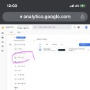 구글로리