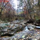 산삼자연휴양림(함양) 이미지