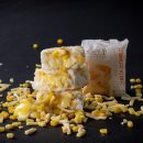 웰리스 휘트니스 이미지