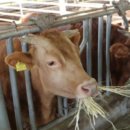 수원-0021 | 나의 두번째 오사카