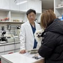 미래지동물의료센터 네이버블로그