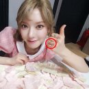 초아의류 이미지