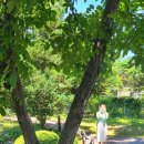 펜션오월의정원 이미지