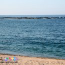 천진마을 이미지