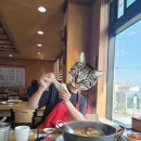[인천 맛집] 계양 맛집 벌말매운탕 내돈내산 후기