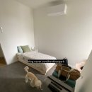 칼디스865커피숍 | 호주 워홀) 멜버른에서 펫시터 알바와 아파트 독방 사용 후기, 멜버른 교통비 관해