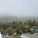 요선마을 이미지