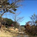 파산정(巴山亭) | 호젓이 산책 즐기기 좋은 파산정(巴山亭)을 만나다~