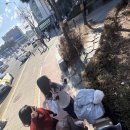 여행가자 - 관악구 | 여행가자