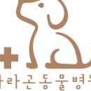 파라곤동물병원 이미지