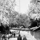 그때그곳 - 남구 | 그때그곳