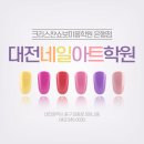 네일509 이미지