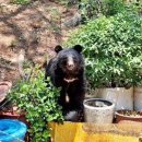 어슬렁어슬렁 이미지