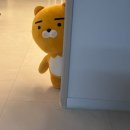 동남체육관 | 천안 독립기념관 / 유관순체육관 주차 방문 후기 / 부평 청모 추천 / 카니발축제