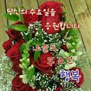 수요일 Daum카페