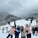 킹스키 | [무주 스키 렌탈샵] 스키 리프트권 신상의류 내돈내산 후기 ”무주킹스키샵 렌탈샵“