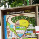 치악농장 | [매봉 힐링 캠핑장] 강원도 계곡 원주 치악 신림 키즈 캠프 추천