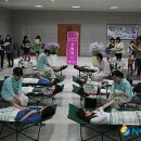 그린켐 이미지