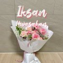 화사한날 이미지