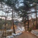 송림목장 이미지