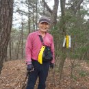 곡성-131 이미지