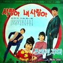 김상희 / 진정 난 몰랐네 (1967,원곡) 이미지