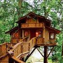 트리하우스 이미지