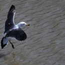 포구의 오후 이미지