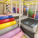 키놀키즈 이미지