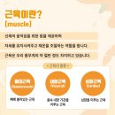 이룸휘트니스&필라테스 이미지