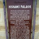 삭개오와뽕나무 이미지