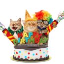 이진캐스빌부동산공인중개사사무소 이미지