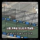 보니타가 | 시흥 거북섬 풋살장 후기 자주 이용하는 보니타가 풋살장 상세 후기 및 예약 정보 안내