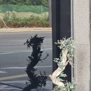 자아도취(narcissism) 이미지