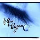 종배 이미지