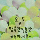 꽃보다 Daum카페
