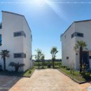 비자림빌리지 이미지