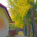 도리정원 이미지