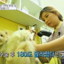 굿맨푸드