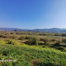 원주굽이길 18코스 반계리은행나무길 이미지