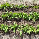 주남농장 이미지