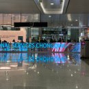 Harmony-ca | [중국_충칭]중국국제항공 CA440 타고 부모님과 함께간 여행 D+1 신기한 중국 길거리 음식 맛보기