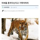아싸