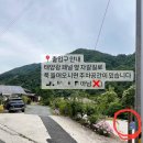 피아골 숲숨집 이미지