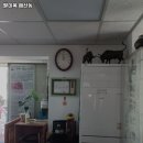 팔미옥 | 수원시 팔달구 매산동 고기집 팔미옥 매산동 리뷰추천메뉴가격주차영업시간