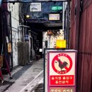 네네치킨용담광장점 | 을지로 "달맞이광장바베큐"｜야장 끝판왕 등장! 신상 치킨 호프집 수제소세지 빙수 예약 후기