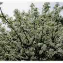 가천목장 이미지