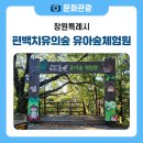 진해 장복산 창원 편백 치유의 숲에 있는 「유아숲 체험원」을 소개합니다.