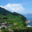 독일공인중개사사무소 이미지