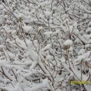 (주)그린웨이 이미지